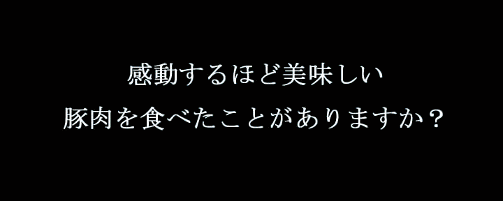 イベリコ豚　おんどるバナー
